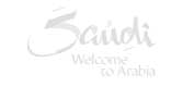 visit saudi